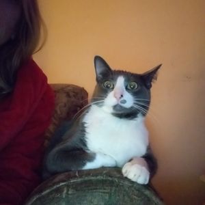 Meet your Posher, Margaret